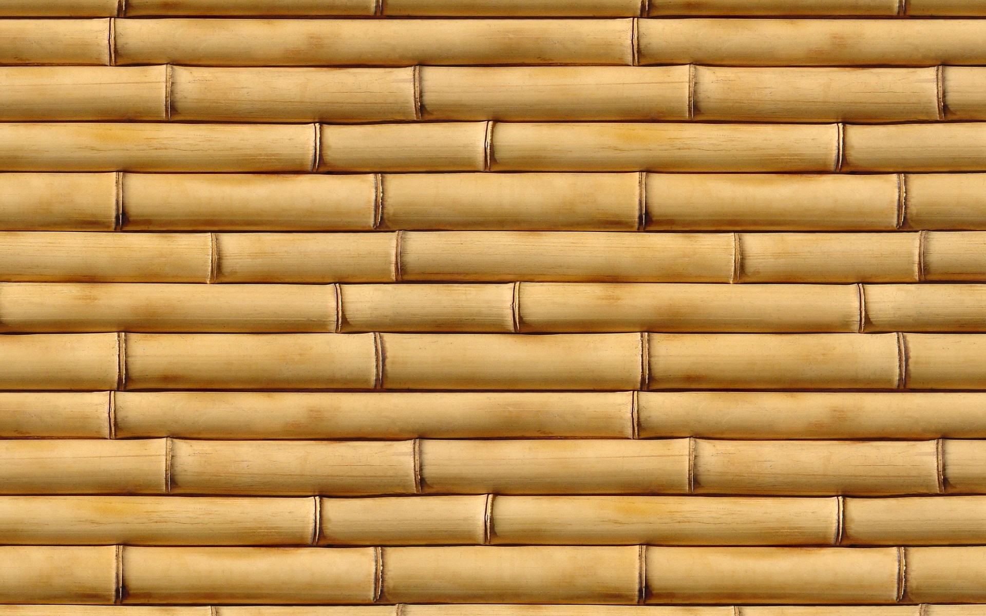 Bamboo Pattern Textures Wallpaper HD