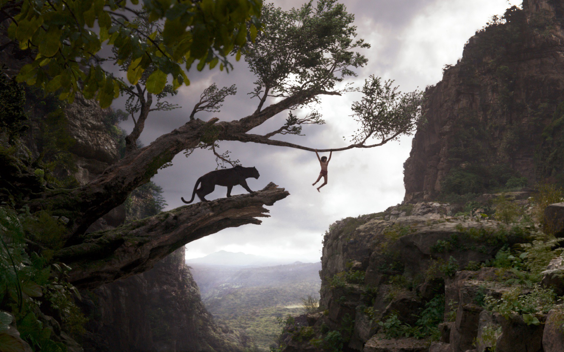 The Jungle Book Pictures Desktop Wallpaper HD Movie