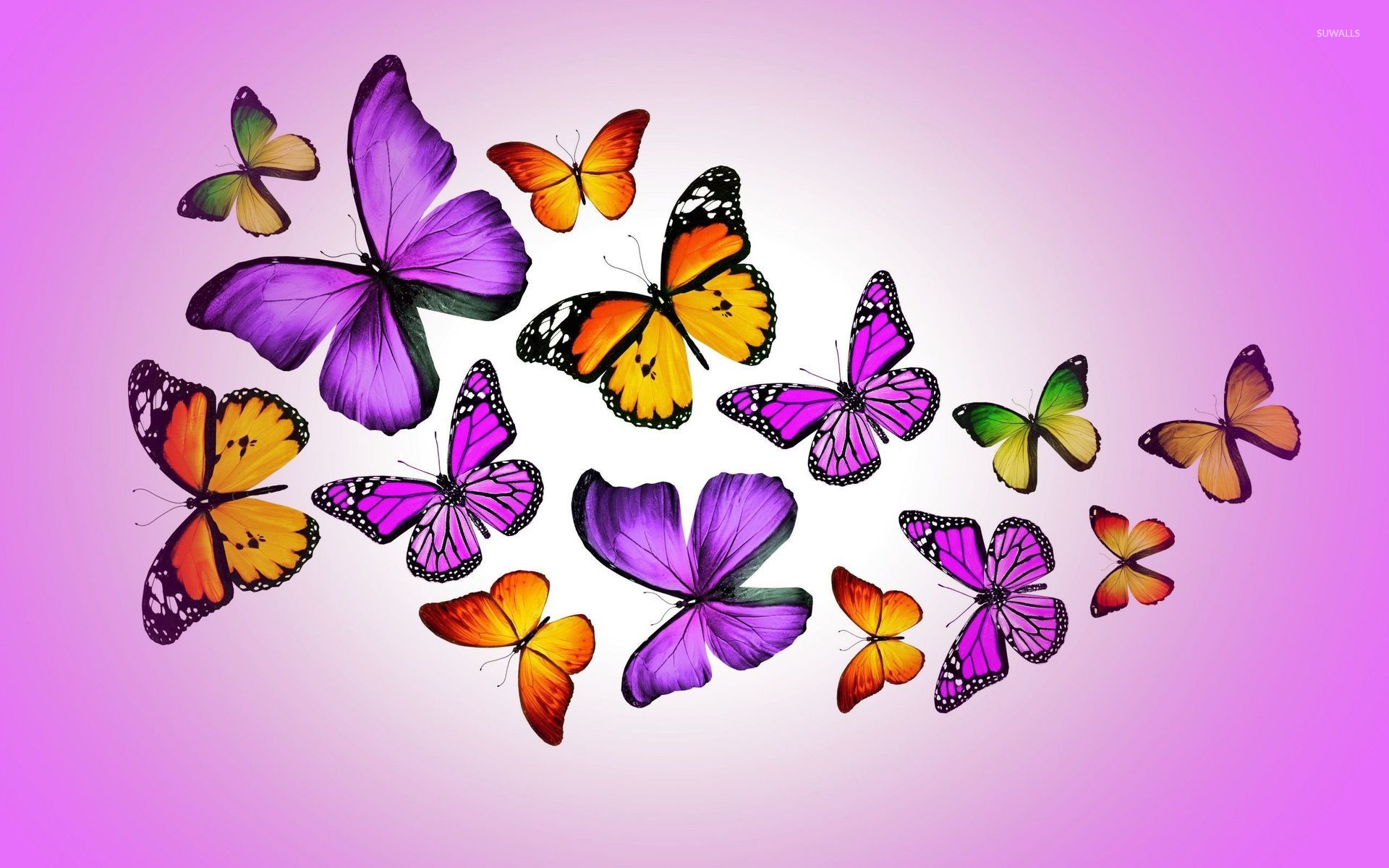 Orange And Purple Butterflies Wallpaper Artistic