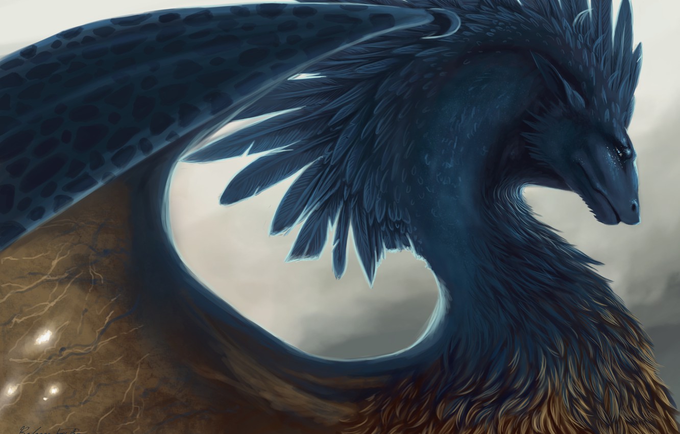 Wallpaper Dragon Feathers Fantasy Art Eragon Image For