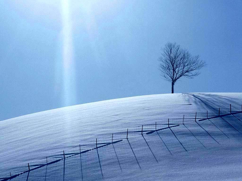 Snow Covered Field Wallpaper