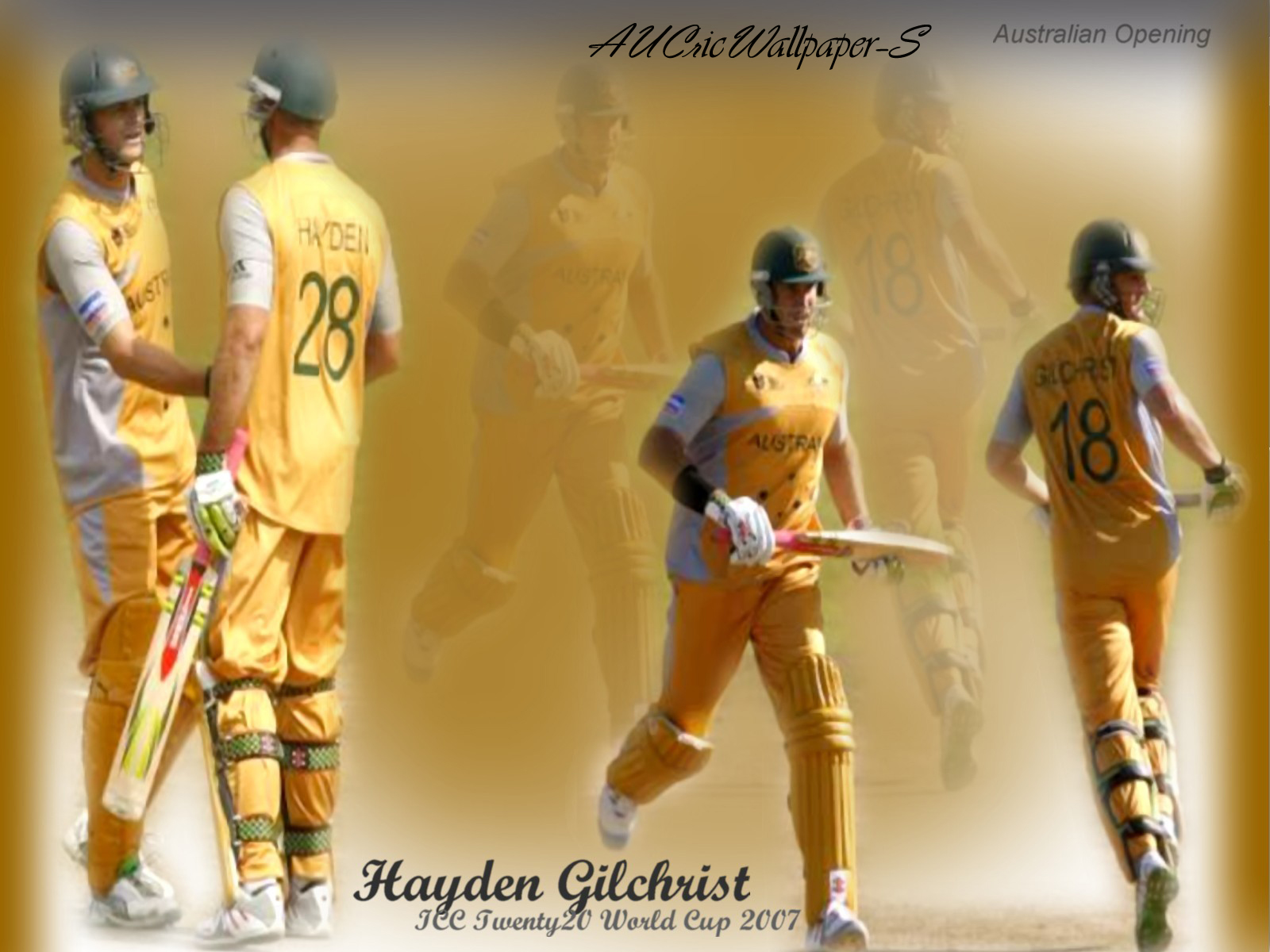Australian Cricket Team Wallpaper Matthew Hayden Adam