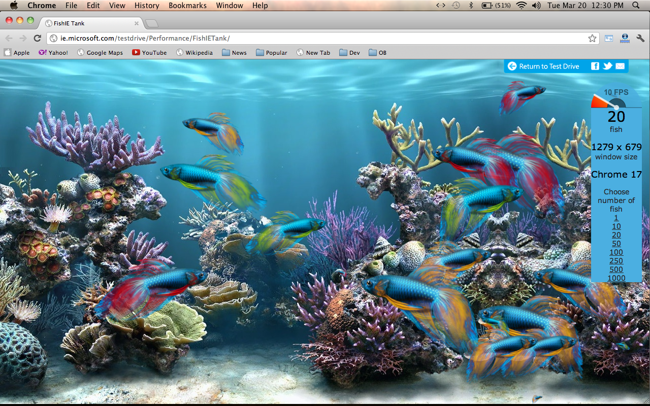 animated fish tank wallpaper   Quotekocom