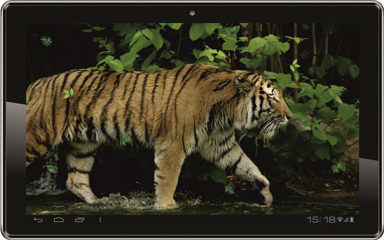 Tiger HD Live Wallpaper Android Apps On Google Play