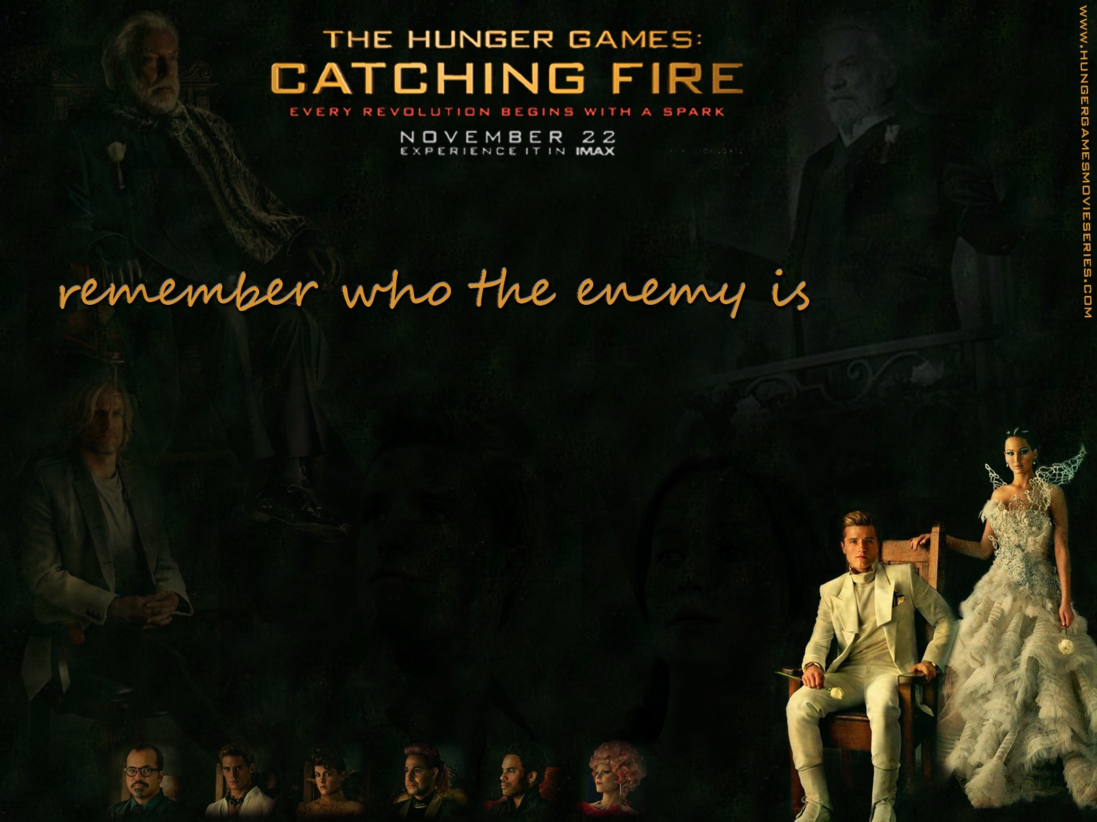 The Hunger Games Catching Fire Wallpaper