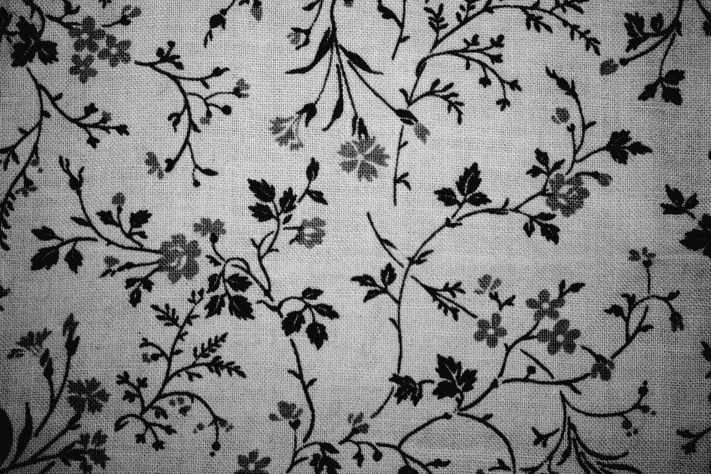 Black On White Floral Print Fabric Texture Picture Photograph
