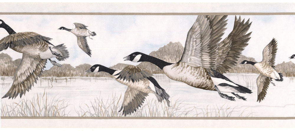Geese Flying Water Hunting Goose Wild Birds Man Wallpaper Wall Border