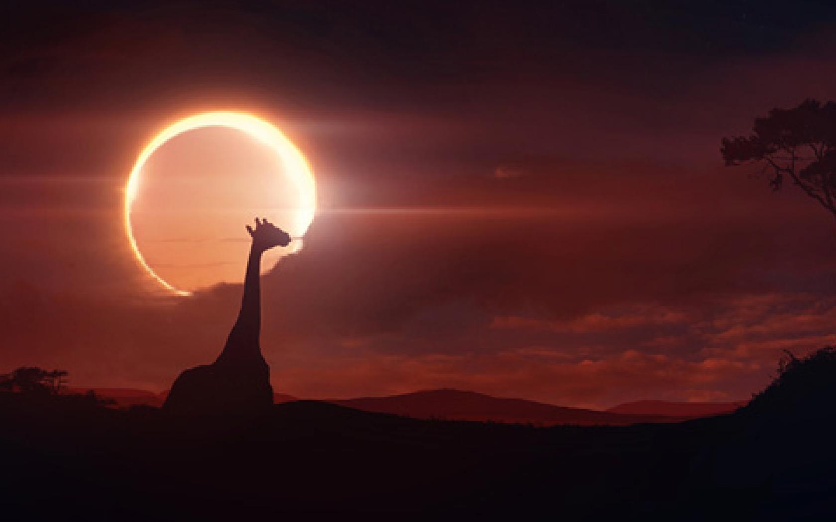 Browse Solar Eclipse Wallpaper For iPhone HD Photo