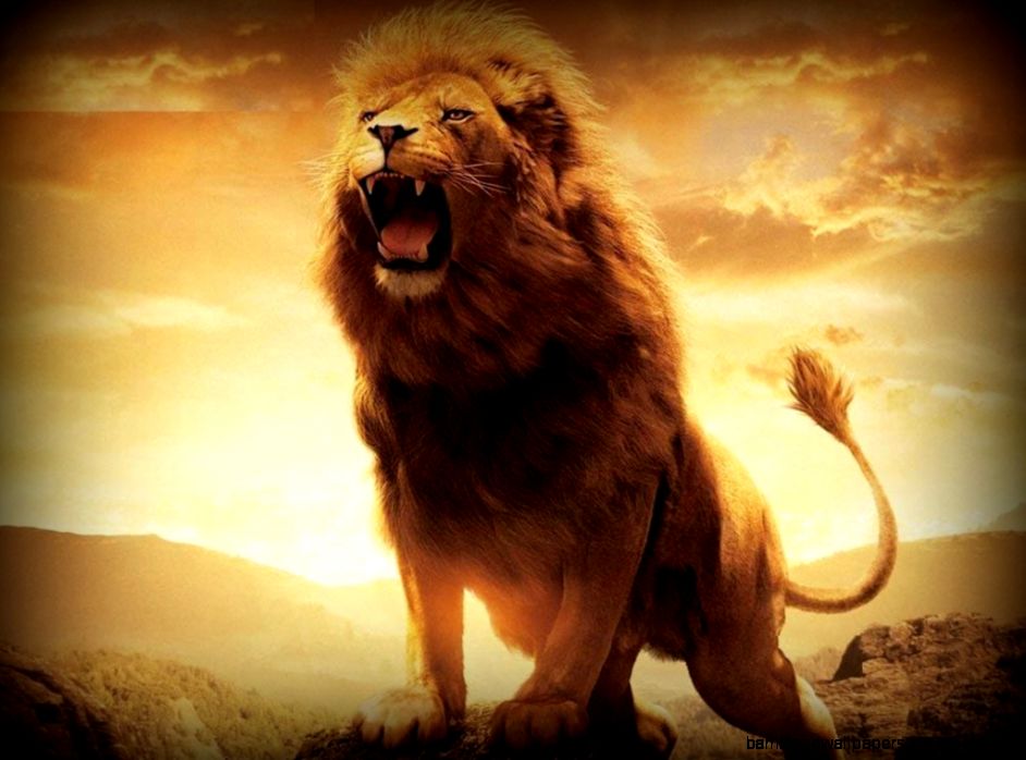 Free download Lion angry lion wallpaper hd 1080p for pc and android mobiles  [942x698] for your Desktop, Mobile & Tablet | Explore 43+ Lion 1080p  Wallpaper | Lion Wallpapers, Rasta Lion Wallpaper,