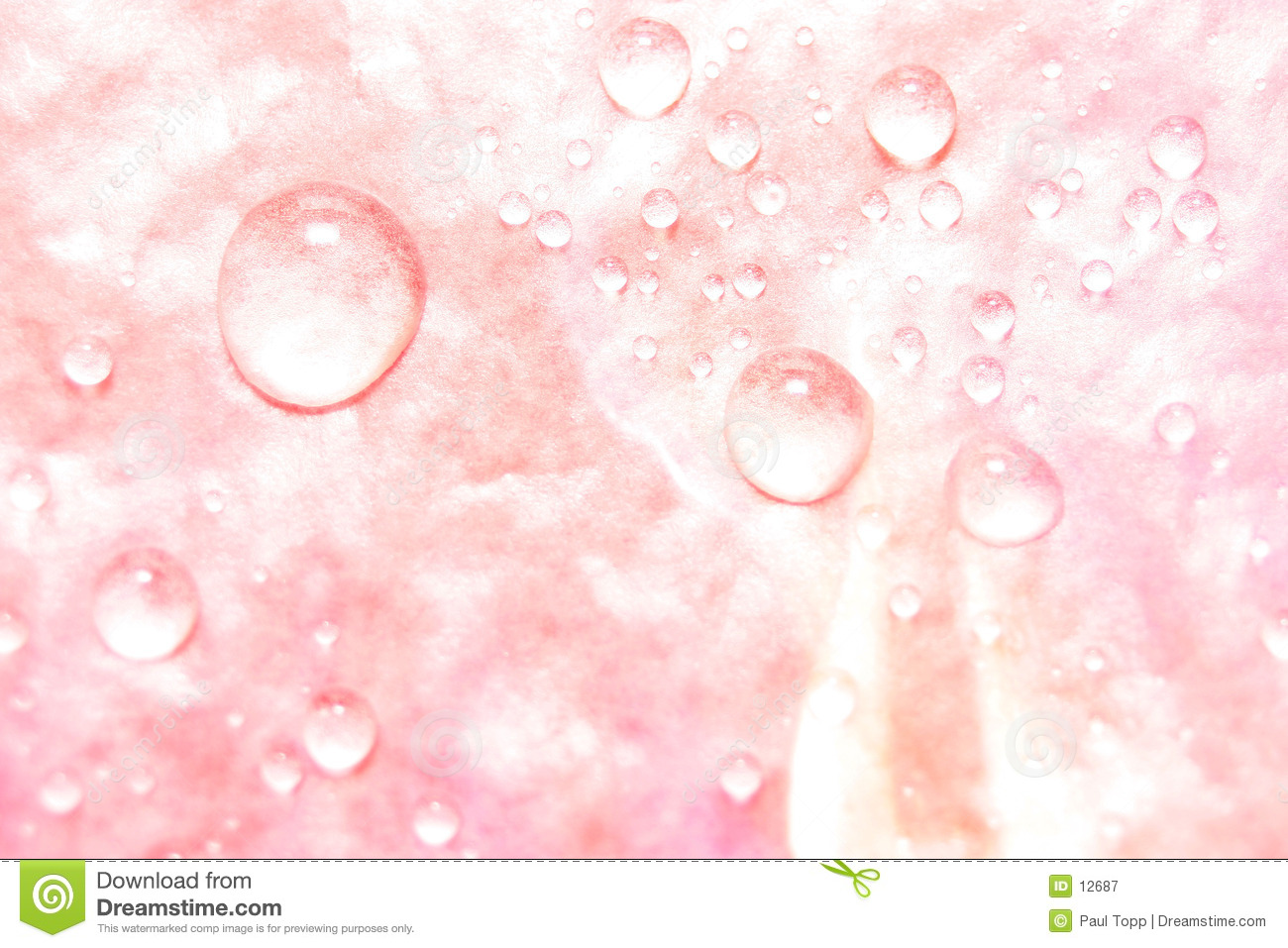 Pretty Pink Background Image Pictures Becuo
