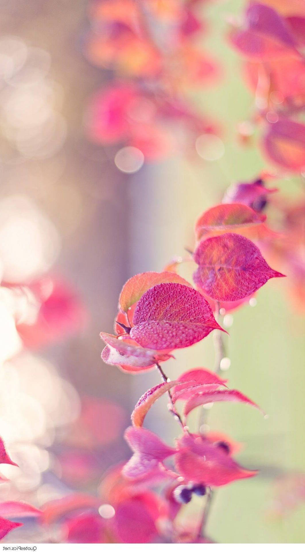 Cute Girly Background Wallpaper