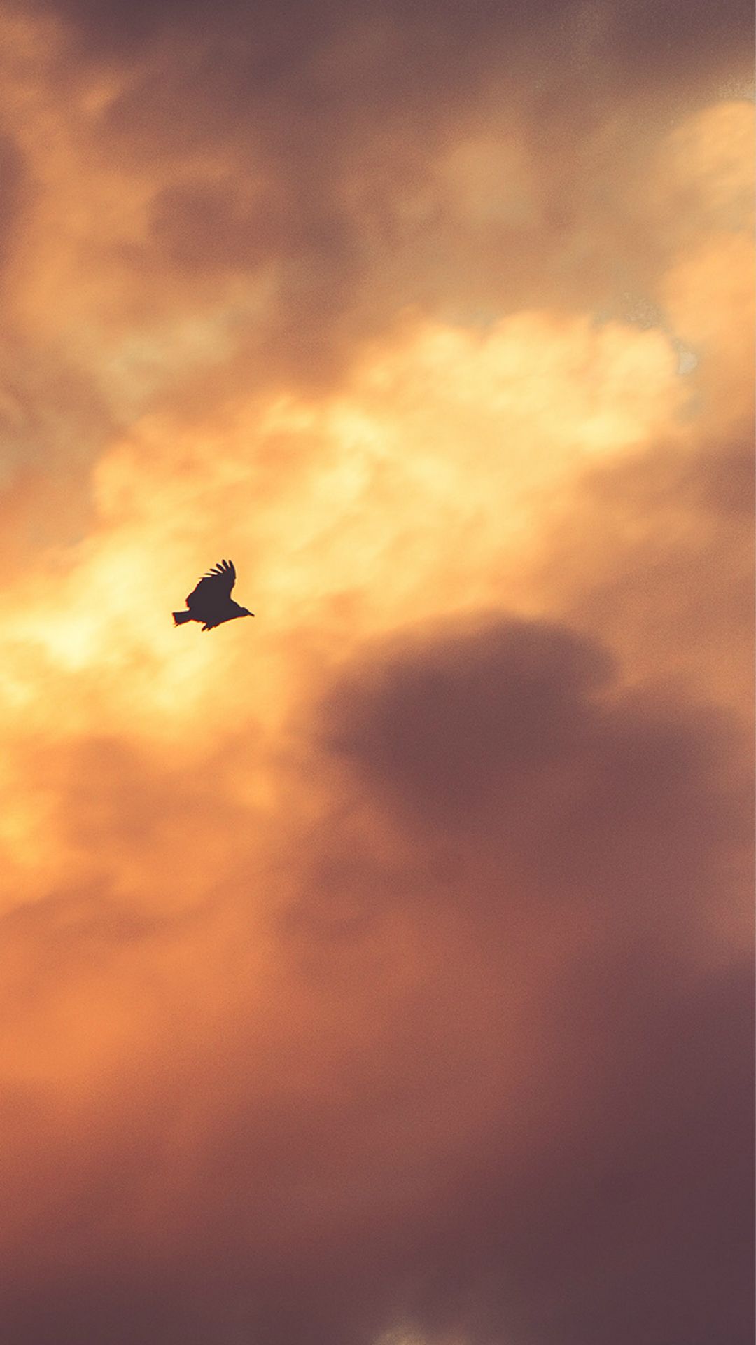 Bird Fly Sky Clouds Red Sunset Nature Animal iPhone Wallpaper