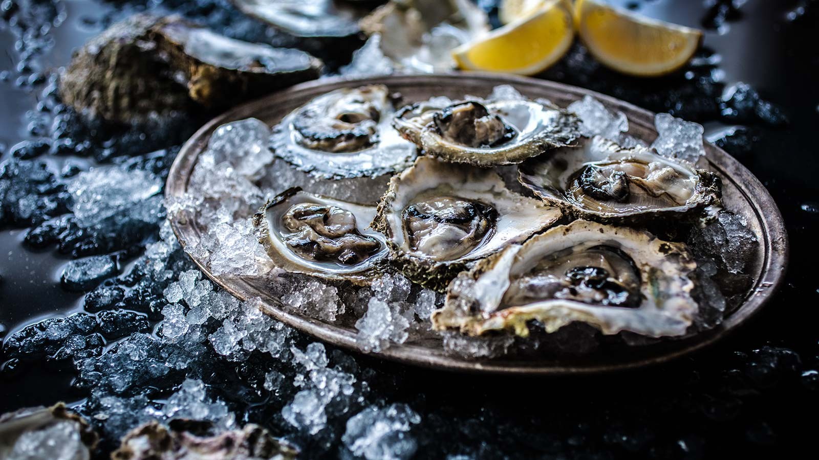 The Oysters Of Ston