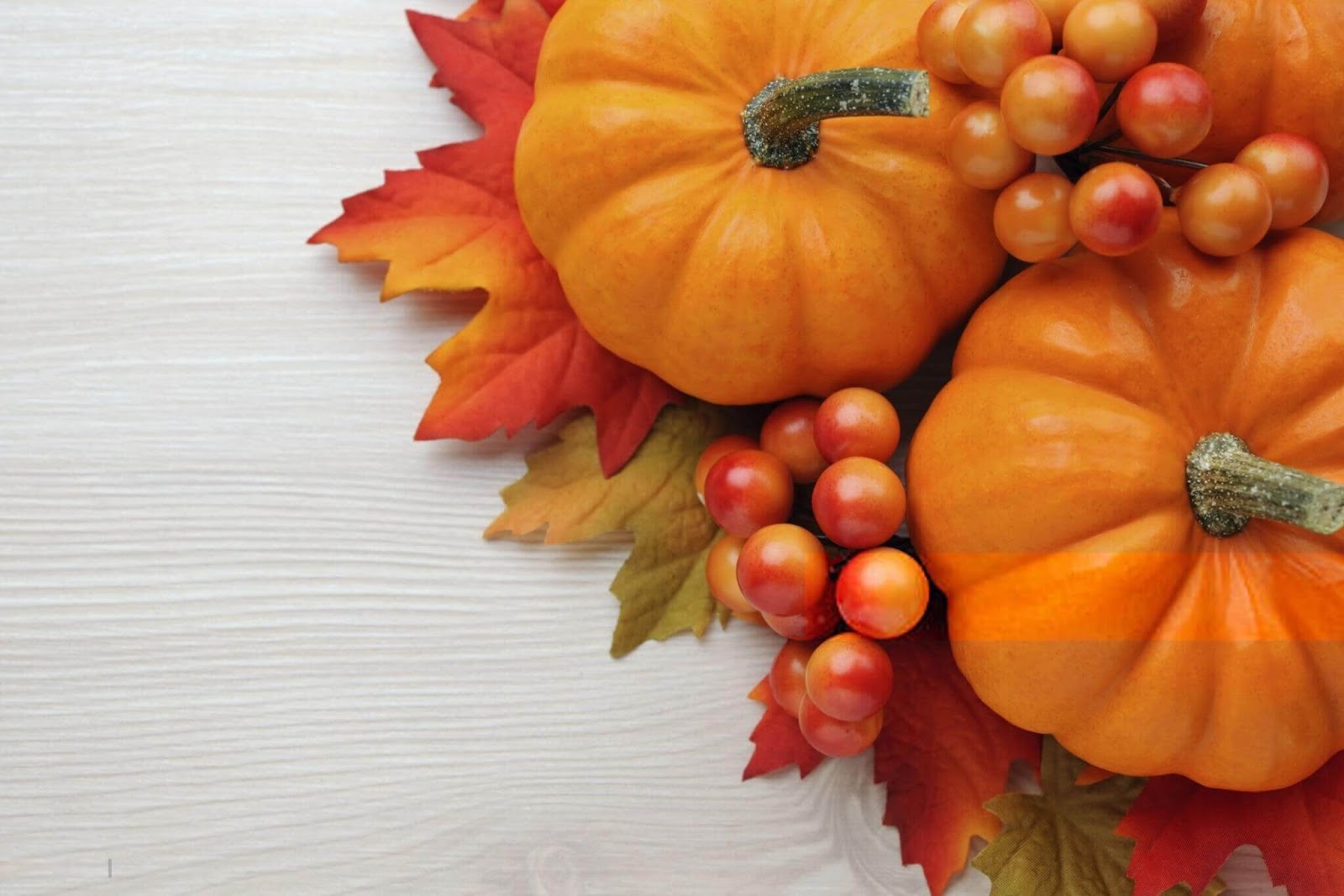 Two orange pumpkins and fall leaves and berries on a white wooden background