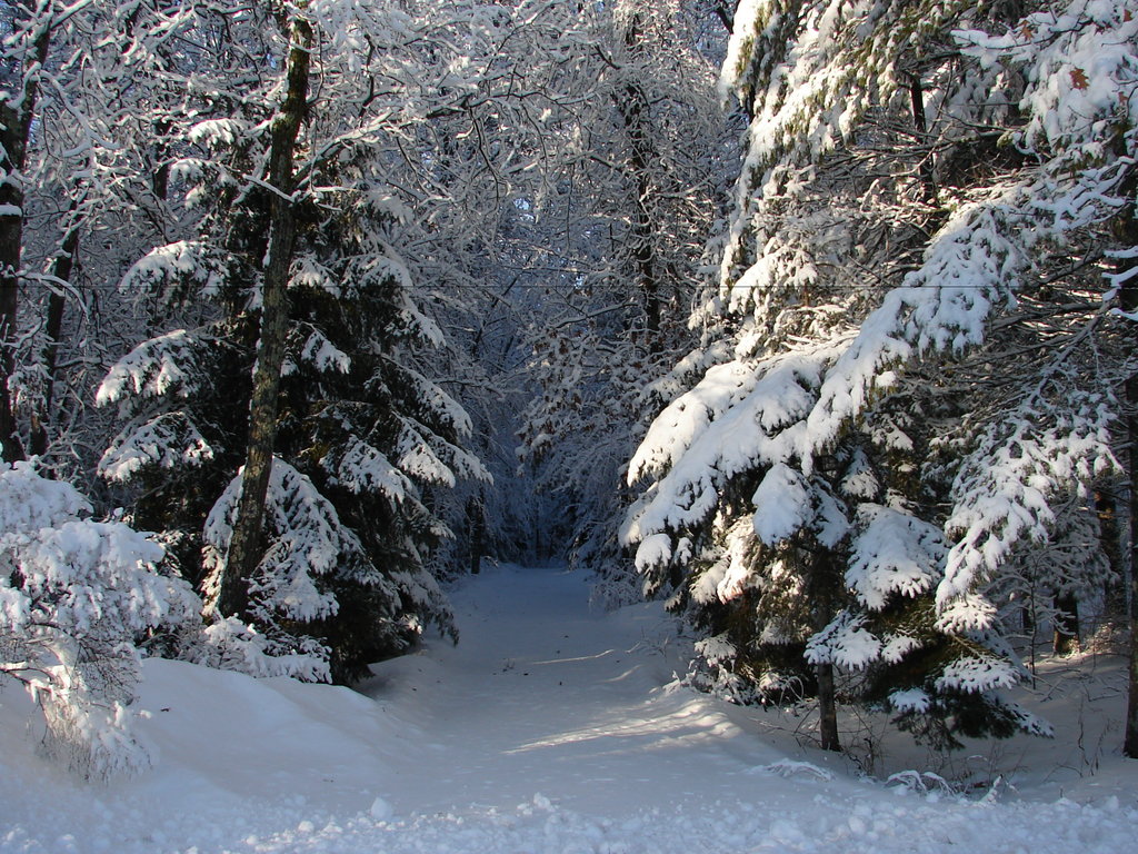 Snowy Landscape Background 05 by FantasyStock on