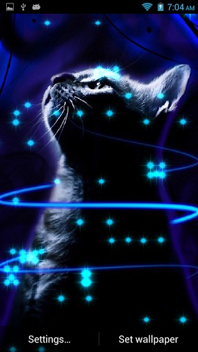 Glitter Neon Cat L Wallpaper App For Android