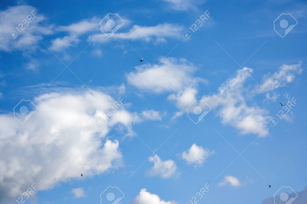 [50+] Soar Background on WallpaperSafari