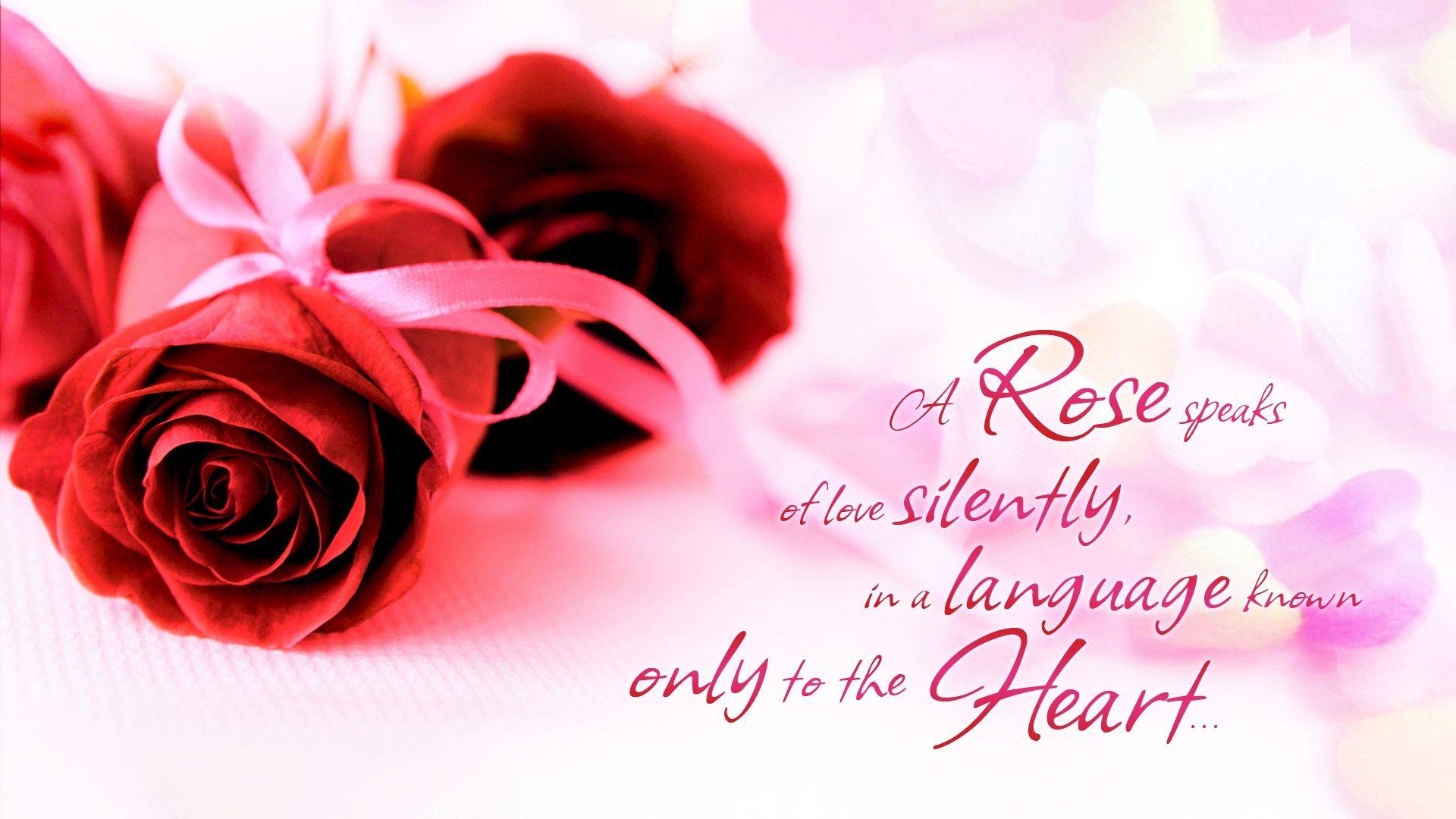 Beautiful Rose And Love Quotes Wallpaper Full High