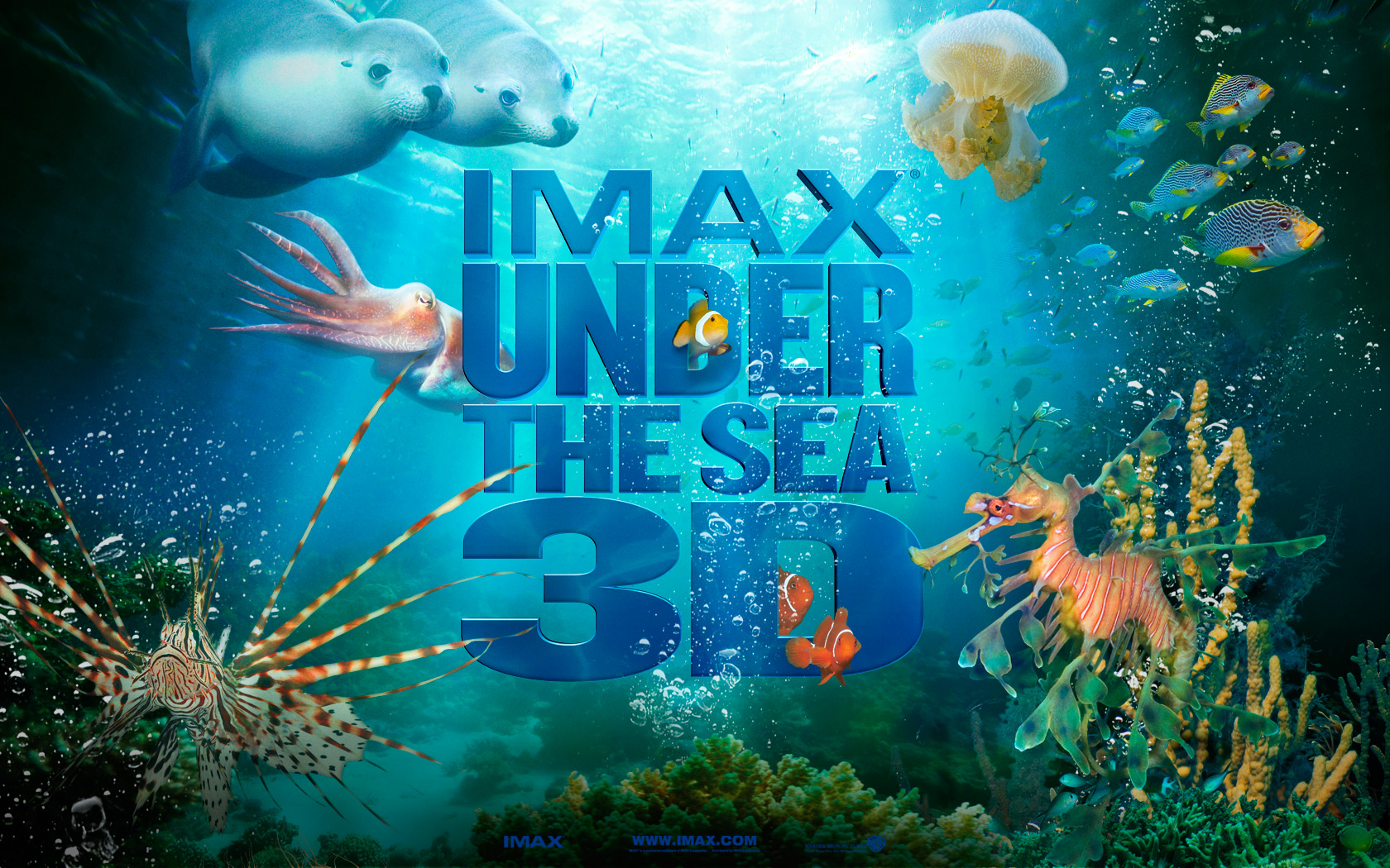 Under The Sea   IMAX TheWallpapers Free Desktop Wallpapers for HD