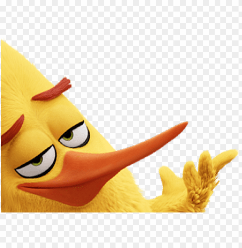 Angry Birds Bird Movie Chuck Png Image With Transparent