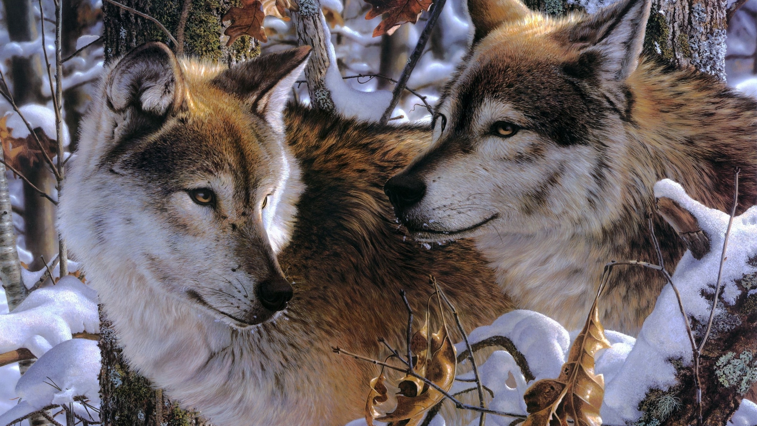 Arctic Wolves Widescreen Wallpaper