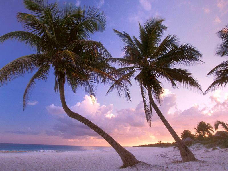 Imagenes De Playa En El Caribe Y Fondos Pantalla
