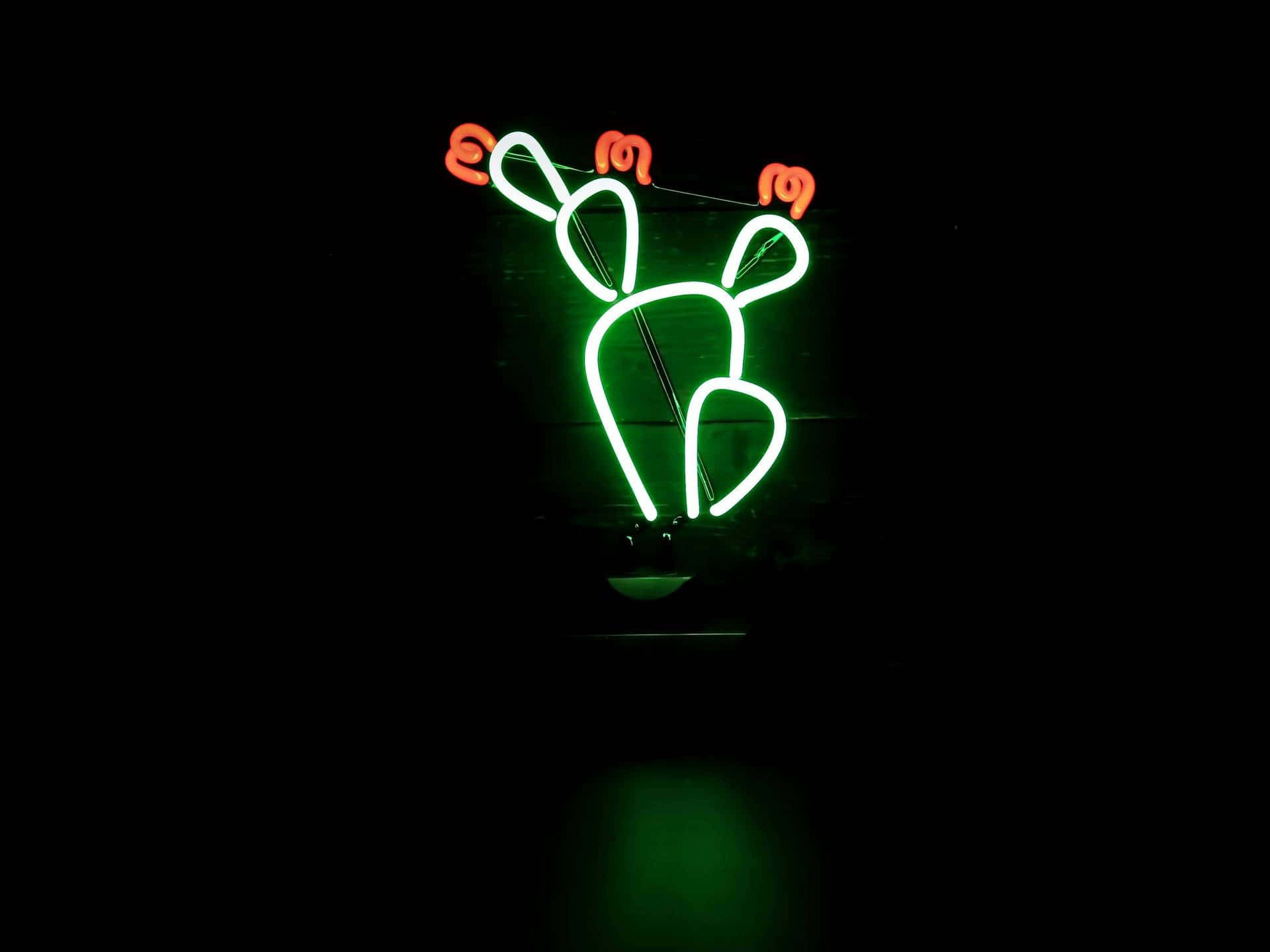 Ladda Ner Skapaden Perfekta Neon Green Aesthetic Desktop Wallpaper