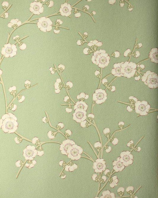 Blossom Wallpaper Sage And Cream Branches Of On A Green