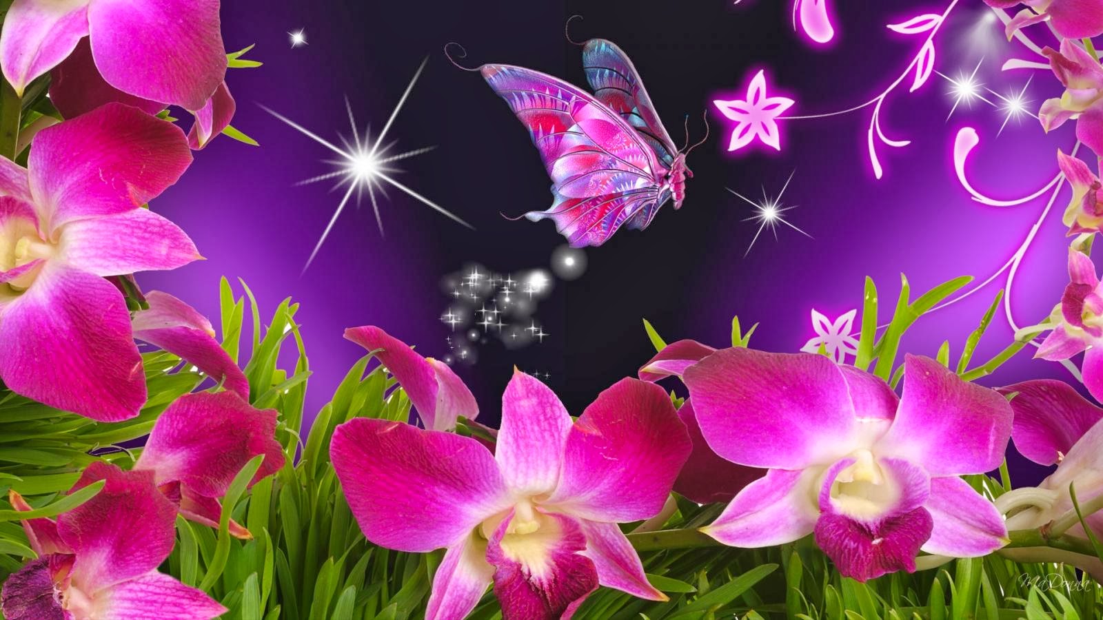 Wallpaper Violet Orchids And Beautiful Butterfly Desktop