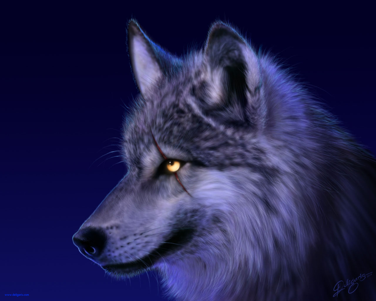 Wolf Puter Wallpaper Desktop Background