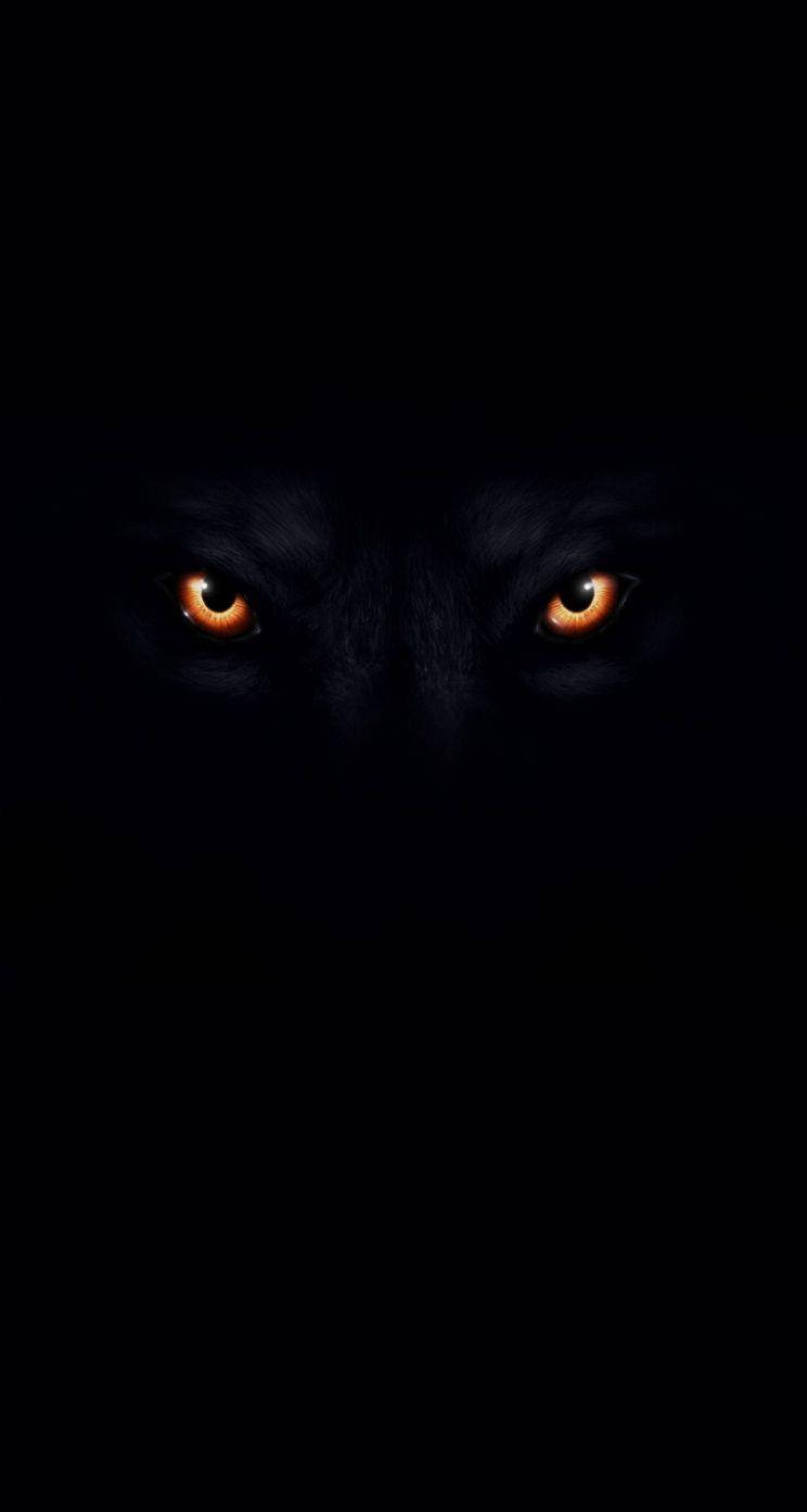Top Cool Black Wolf Wallpaper Full HD 4k To Use