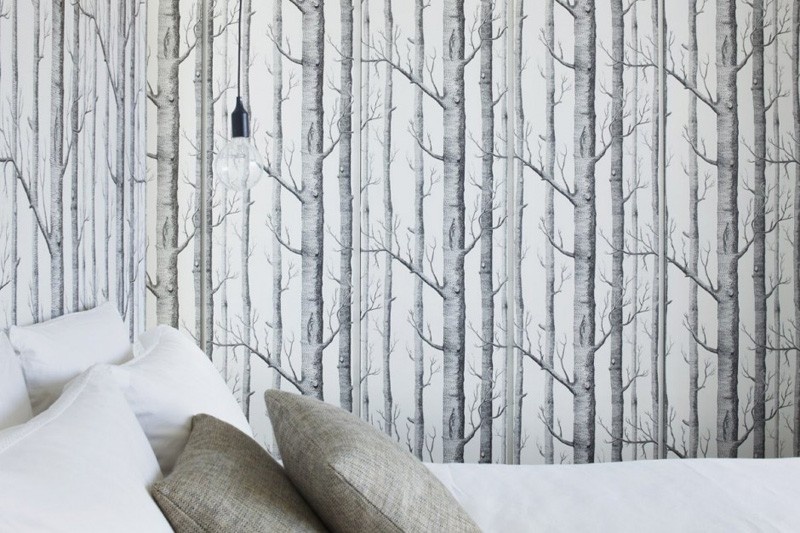 nature still prevails within this monochromatic birch tree wallpaper 800x533