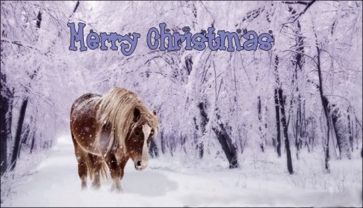 Wallpaper With Horse Trodding Through Snow Covered Trees Merry