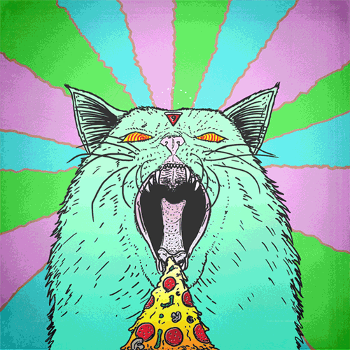 Cat Trippy Lsd Psychedelic Pizza Dmt Mushrooms Good Trip Psy