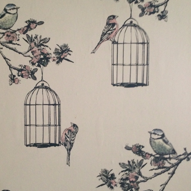 Nina Campbell Bird Cage Walk Wallpaper