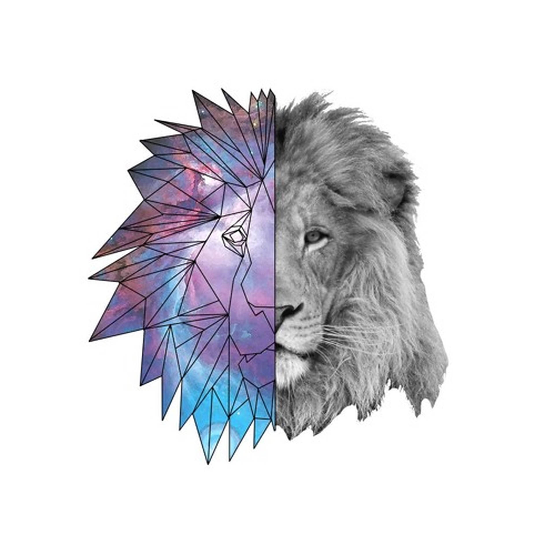 Galaxy Lion Wallpaper