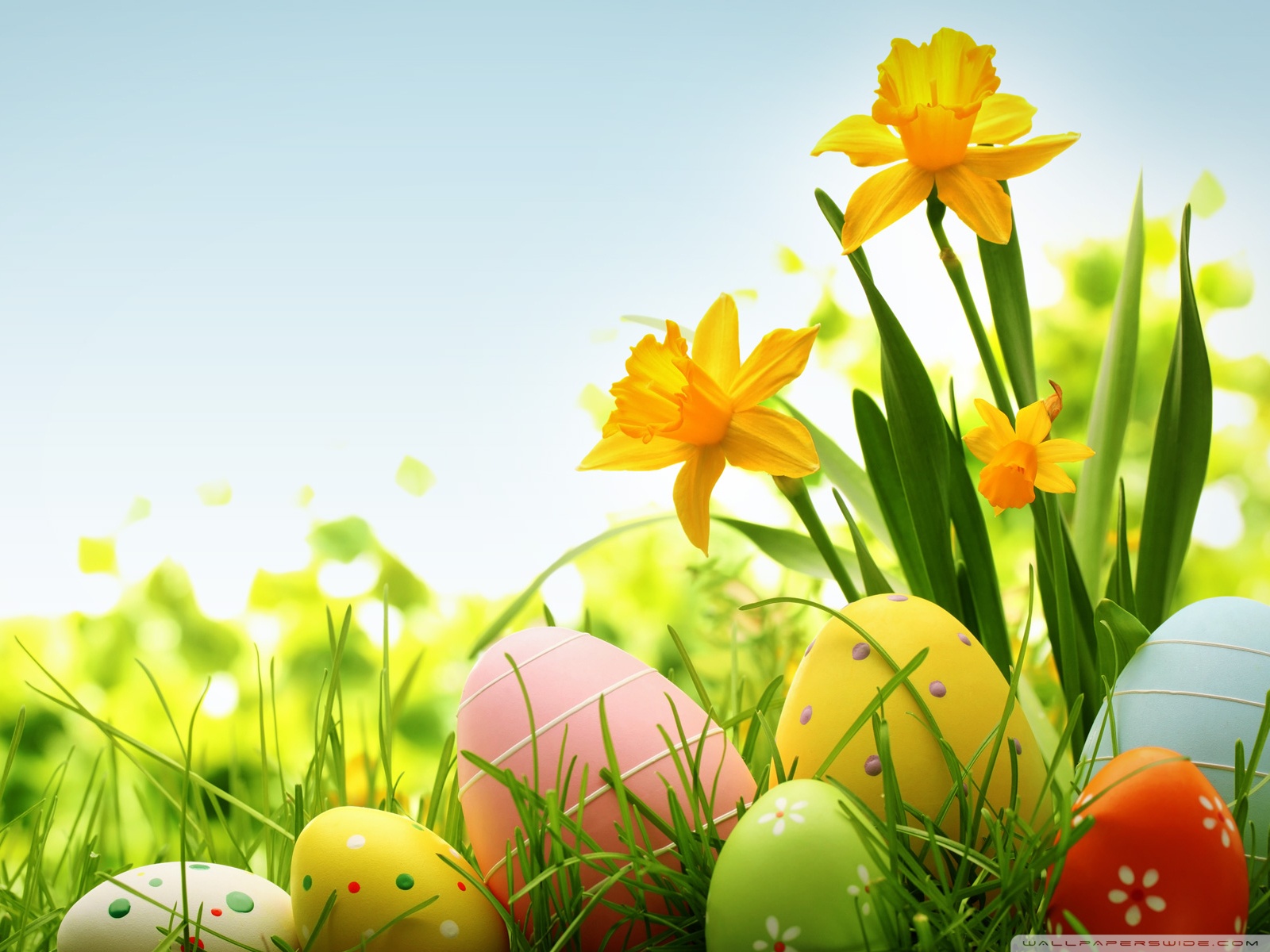 Happy Easter 4k HD Desktop Wallpaper For Ultra Tv