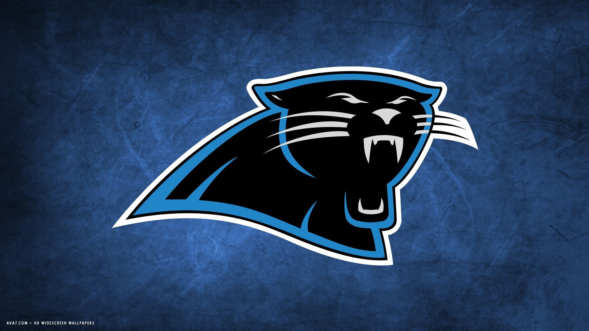 Carolina Panthers Nfl Football Team HD Widescreen Wallpaper American
