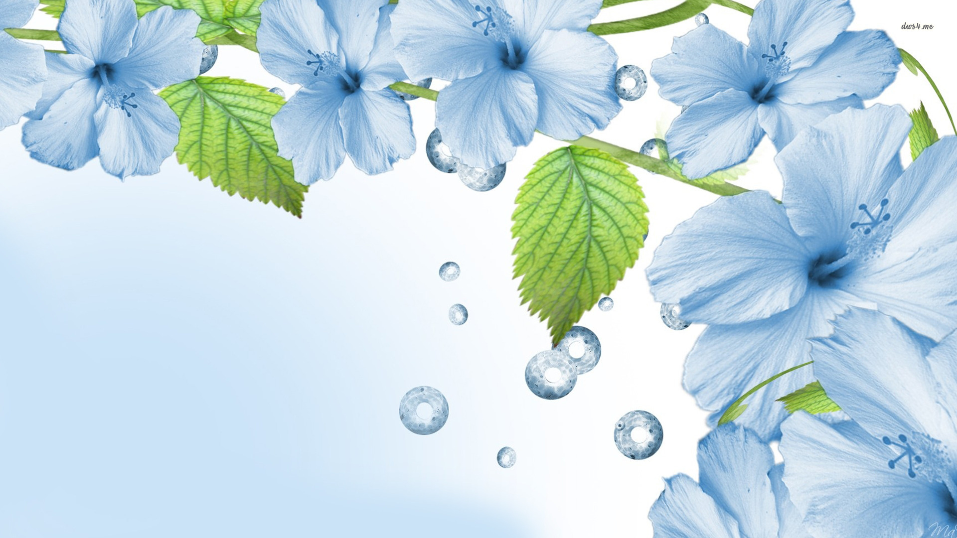 Blue Flowers Wallpaper