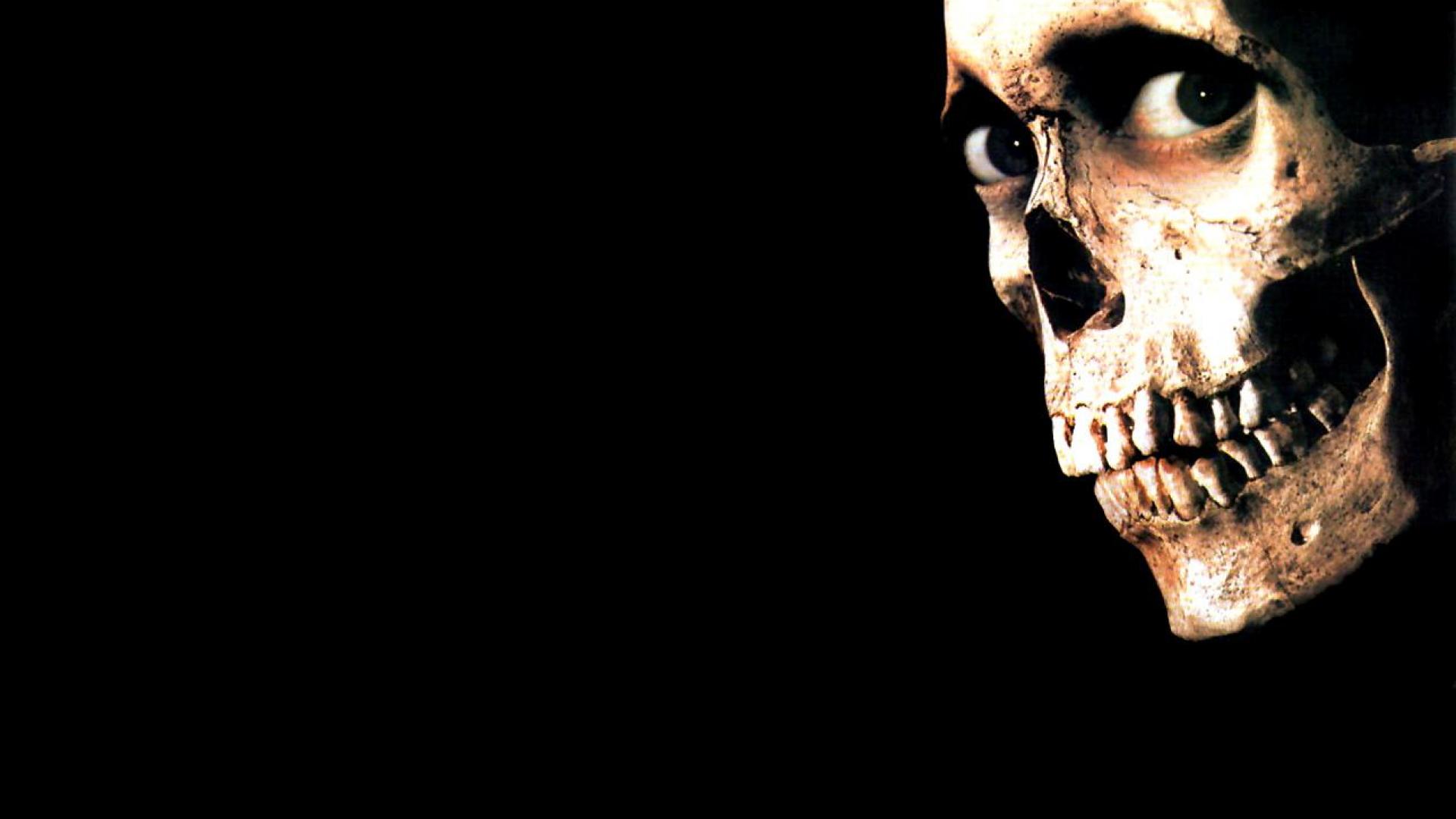 Red Skull Skeletons Best Widescreen Background Awesome Aban