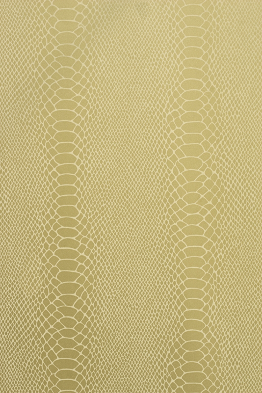 Cobra Wallpaper A Faux Snake Skin In Gold With An Outline