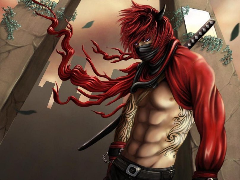 Anime Ninja Assassin Boy