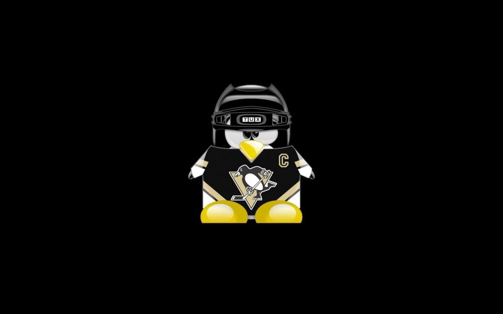 The Pittsburgh Penguins Wallpaper The Pittsburgh Penguins Desktop 1024x640