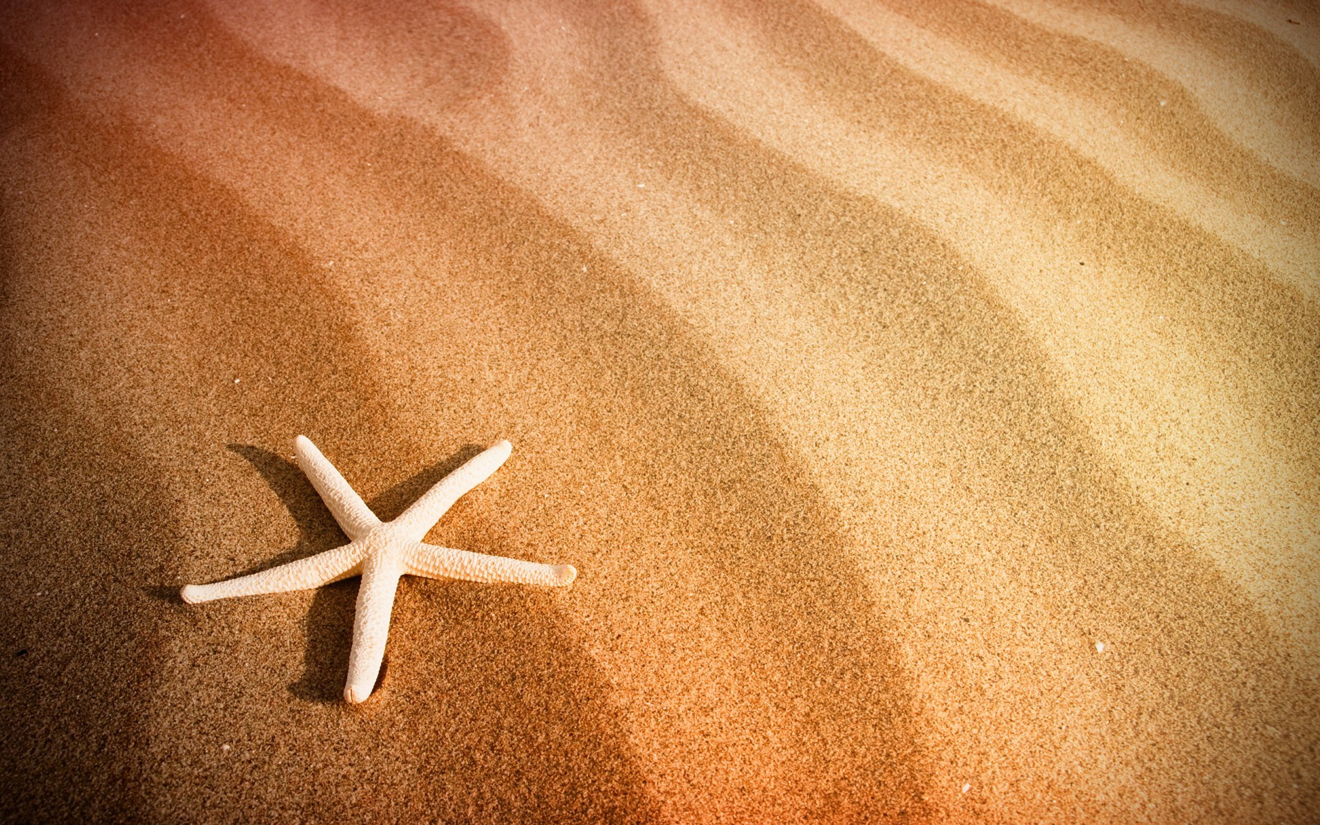 Beach Sand Starfish HD Wallpaper