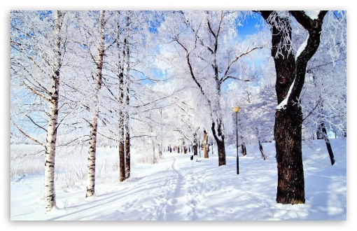 Winter Wonderland HD desktop wallpaper High Definition Fullscreen