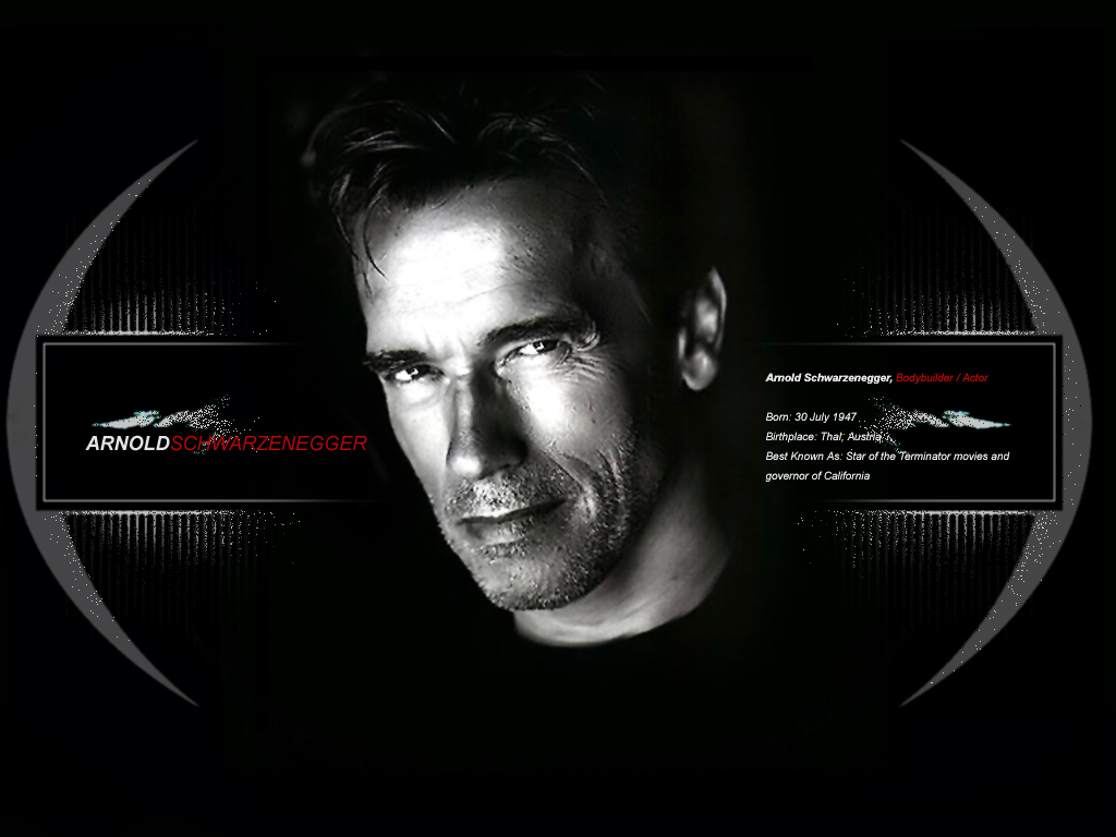 Arnold Schwarenegger Wallpaper Schwarzenegger
