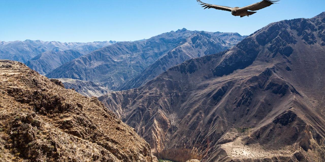 The Colca Canyon World S Largest For Travel
