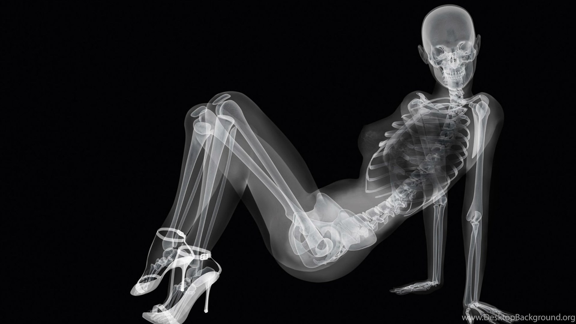 Wallpaper Girl Skeleton X Ray Black Background