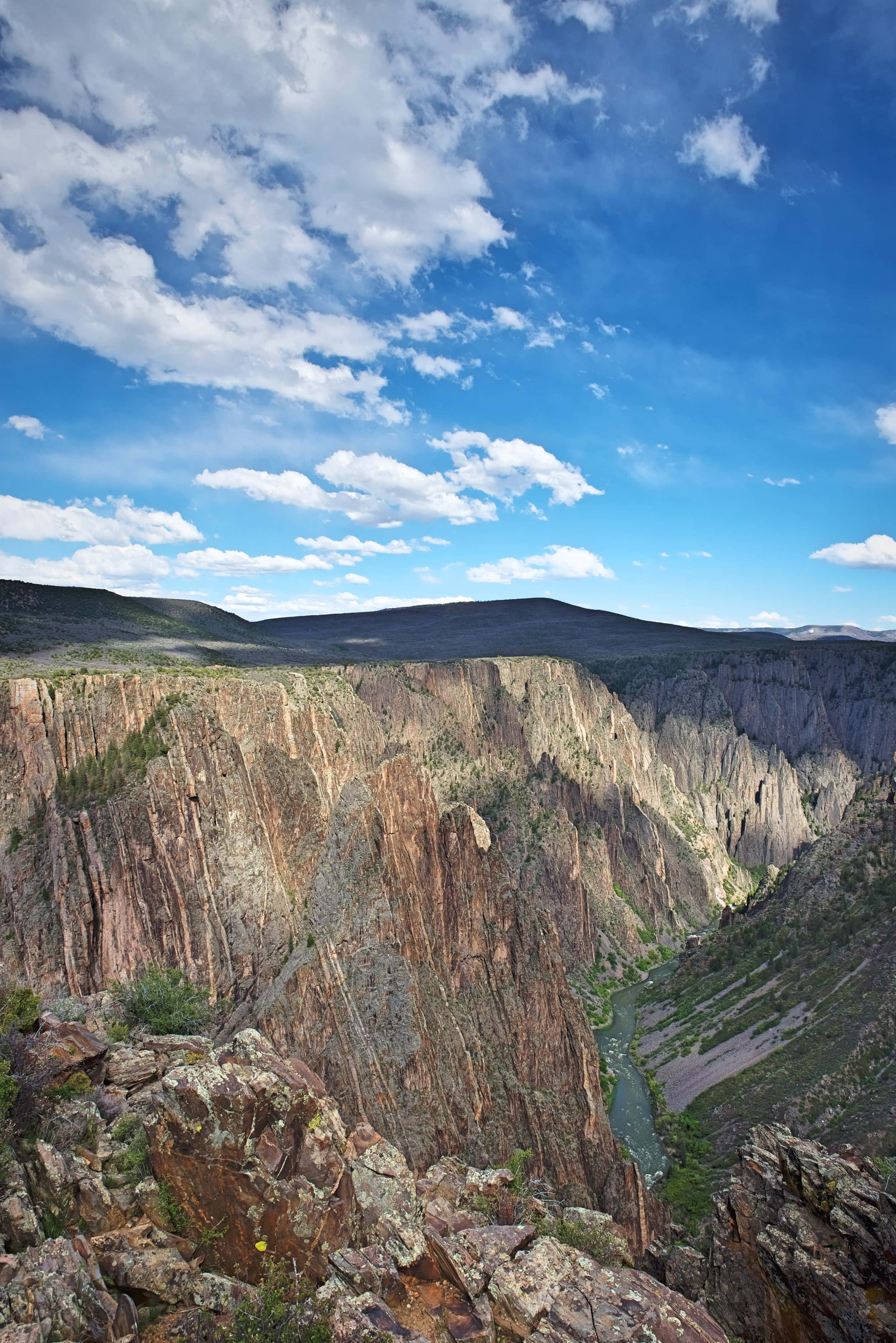 Black Canyon X Wallpaper