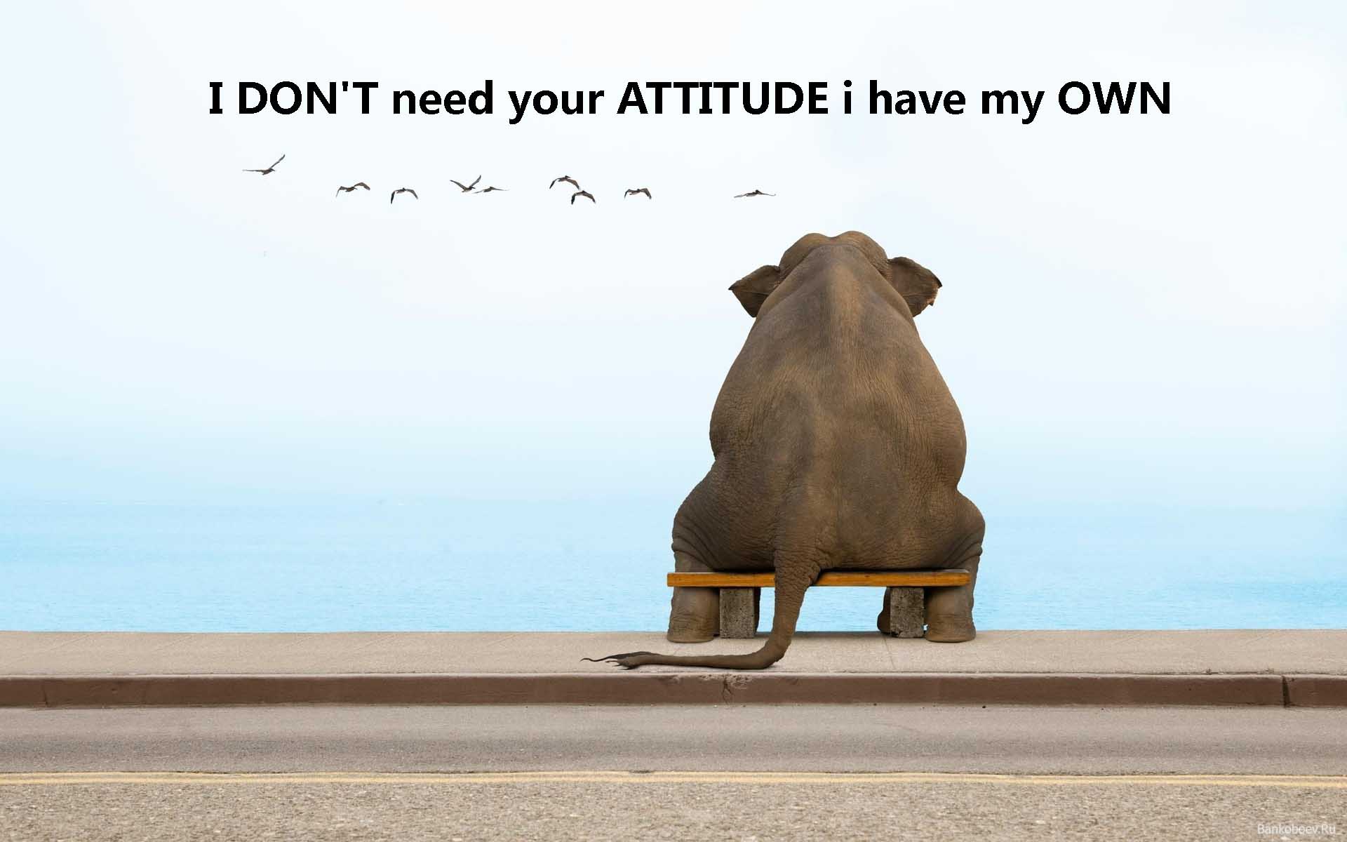 Attitude Wallpaper Desktop Image Of
